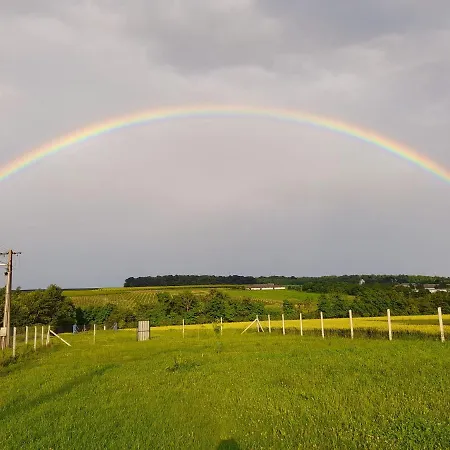 Szent Marton Jurtaszallas Zalakaros Koezeleben * Nagyrécse