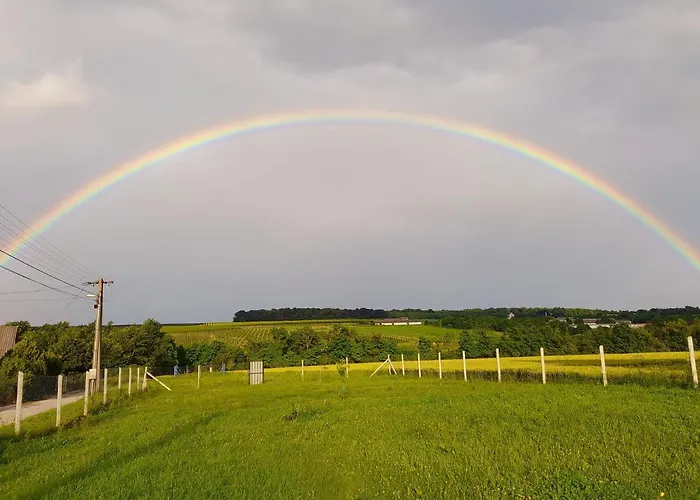 Szent Marton Jurtaszallas Zalakaros Koezeleben * Nagyrécse